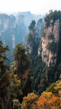 帶上家人來張家界四天三晚，玩轉阿凡達仙境！