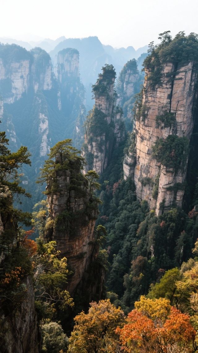 帶上家人來張家界四天三晚，玩轉阿凡達仙境！