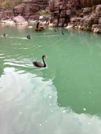 這座山藏著小眾瀑布雲台山 紅石峽