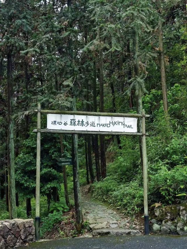 江浙滬世外桃源天花板裸心谷度假村超全測評! 江浙滬世外桃源天花板裸心谷度假村超全測評!