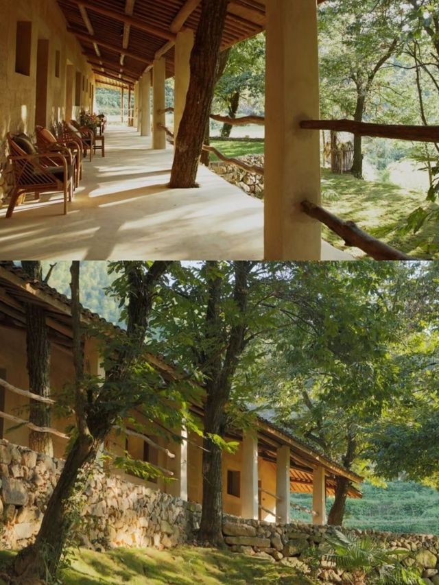 西坡江山｜躺進浙西秘境，住進萬畝梯田神仙民宿