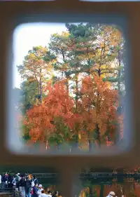 天平山‖我宣布我找的機位拍得最好看~