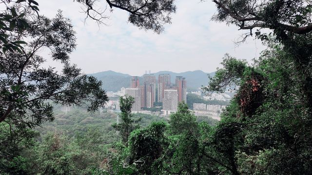 深圳筆架山輕徒步|山野漫遊靜聽風,一條路線打卡全精華! 深圳筆架山輕徒步|山野漫遊靜聽風,一條路線打卡全精華!