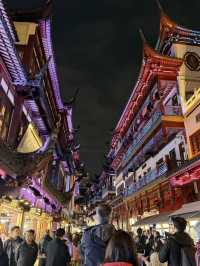 漫步大豫園這條夜景路線絕了！