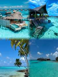 馬爾代夫｜說走就走的免簽果凍海天堂