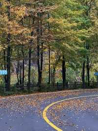 冬天必衝嘉興-杭州超全遊玩指南