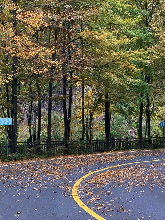 冬天必衝嘉興-杭州超全遊玩指南 冬天必衝嘉興-杭州超全遊玩指南