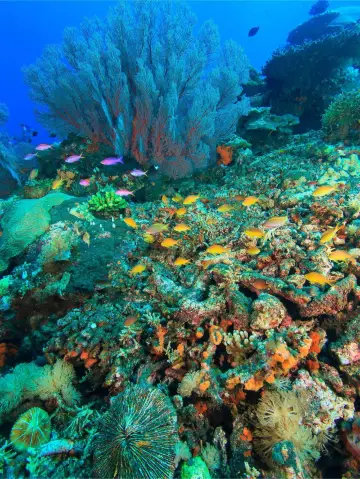 One-Day Private Car Tour in the UK for a Super Worry-Free Experience