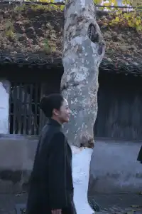 寧波隱秘煙火氣|永壽巷,一條會呼吸的老街