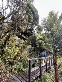 私享路線3-新西蘭北島人不多