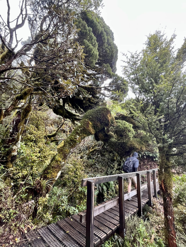 私享路線3-新西蘭北島人不多