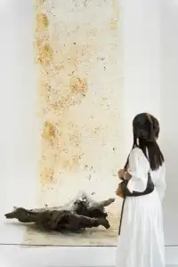 雲際新展｜深圳第一高樓年度藝術大展來了！