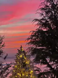 珠海！！！新店！芬蘭雪屋太好拍了！！！