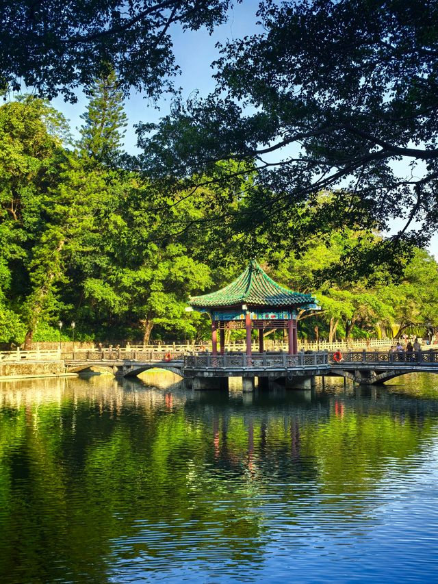 惠州羅浮山|登高尋訪葛洪跡 觀瀑聽泉洗塵心 惠州羅浮山|登高尋訪葛洪跡 觀瀑聽泉洗塵心