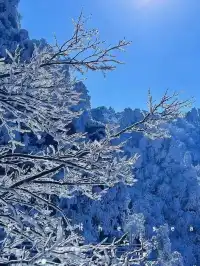 去了郴州3次,莽山看雪就應該這麼玩!!