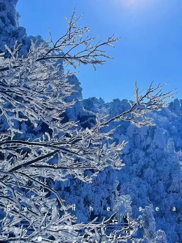 去了郴州3次,莽山看雪就應該這麼玩!! 去了郴州3次,莽山看雪就應該這麼玩!!