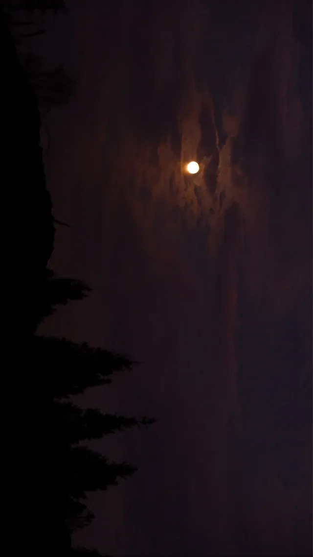 吊打京都沒人告訴我杭州的秋天這麼頂啊 吊打京都沒人告訴我杭州的秋天這麼頂啊