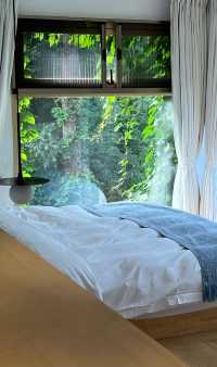 張家界民宿天花板被繡球&森林治癒的完美假期