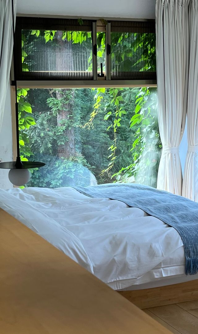 張家界民宿天花板被繡球&森林治癒的完美假期 張家界民宿天花板被繡球&森林治癒的完美假期