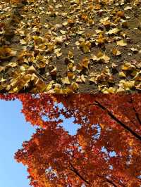 廊坊冬日秘境大公開！這6個小眾地拍照絕了