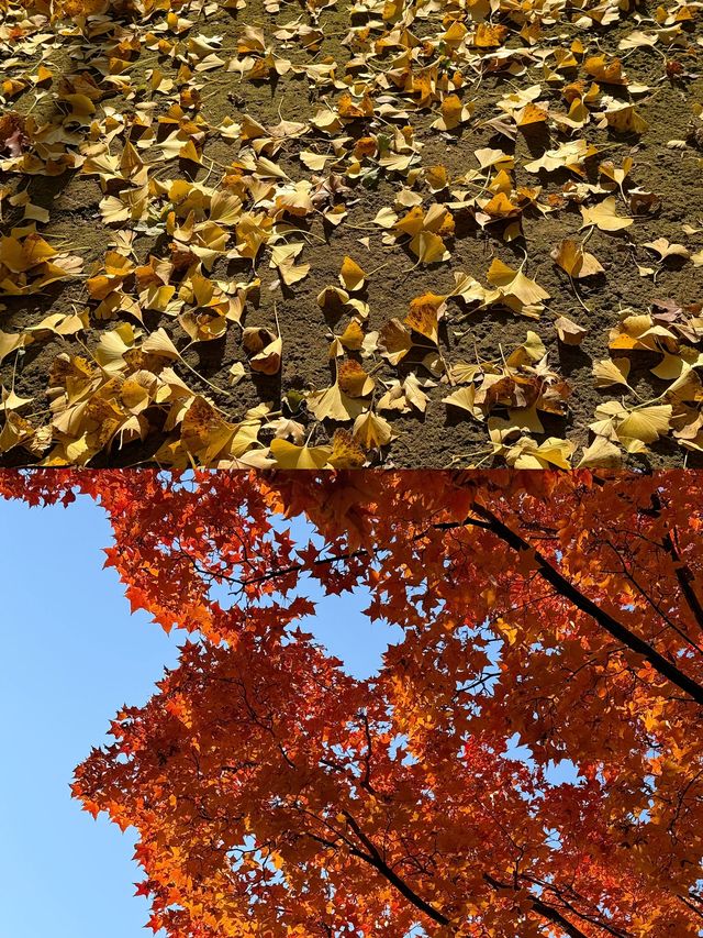 廊坊冬日秘境大公開！這6個小眾地拍照絕了