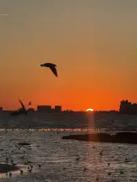 日落，是天空寫給秦皇島的溫柔啊