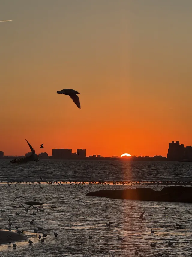 日落，是天空寫給秦皇島的溫柔啊