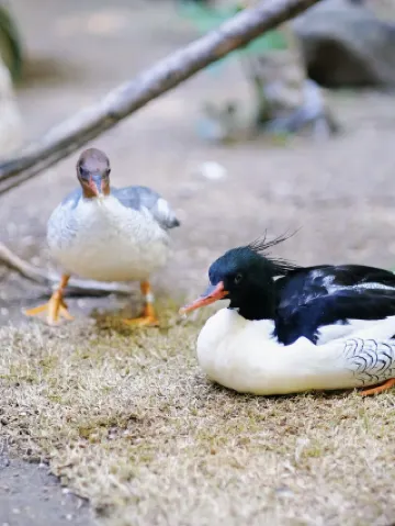 All things have spirit and beauty