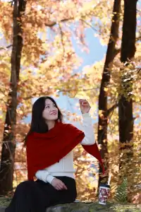 永嘉紅楓古道的紅楓紅了