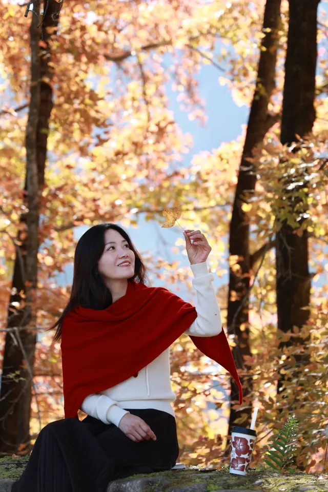 永嘉紅楓古道的紅楓紅了 永嘉紅楓古道的紅楓紅了