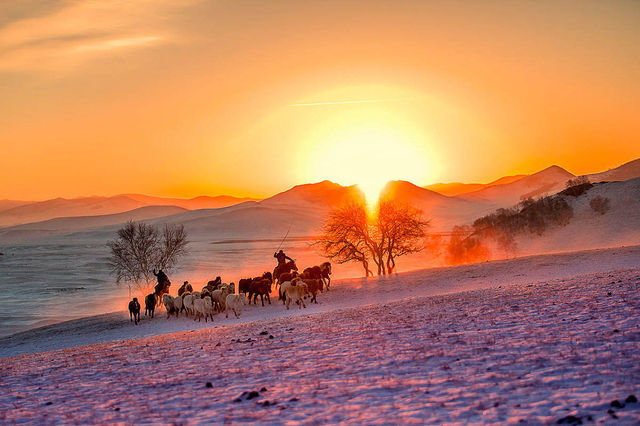 皇家禮遇與雪原牧歌的奇遇記 皇家禮遇與雪原牧歌的奇遇記