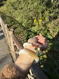 願所求皆所得，在普陀山止不住落淚