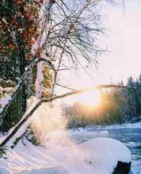 冰雪童話禾木村