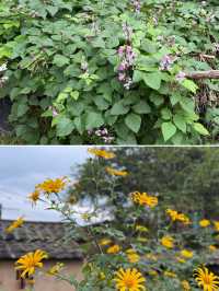 閩南田園一日:觸摸舊時光,品嚐新鮮味