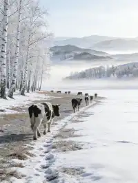 烏蘭布統，其實也很適合親子遊！