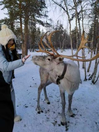 Life Bucket List! Complete Guide to Aurora Hunting in Murmansk