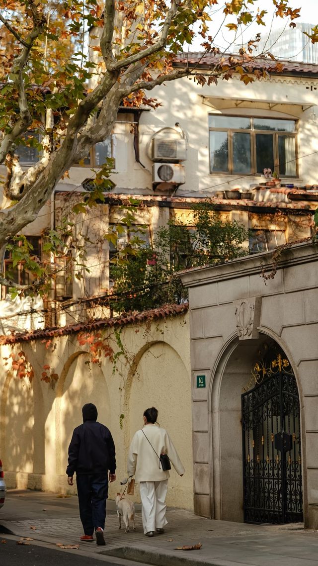 上海深秋Citywalk|梧桐葉裡的浪漫與聖誕的完美交融 上海深秋Citywalk|梧桐葉裡的浪漫與聖誕的完美交融