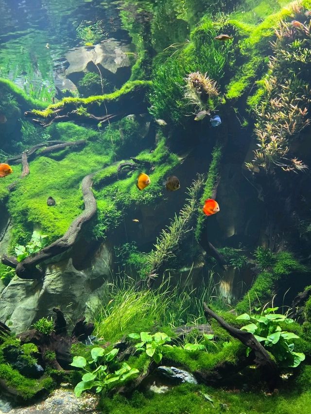 Shanghai Greenhouse Garden – всё, что нужно знать Shanghai Greenhouse Garden – всё, что нужно знать