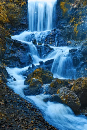 「美しい新沂を探して・黄金の秋を切り取る」写真コンテストに参加します