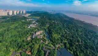 New Year's Day Special Offer ③ | These travel routes are fun and not tiring