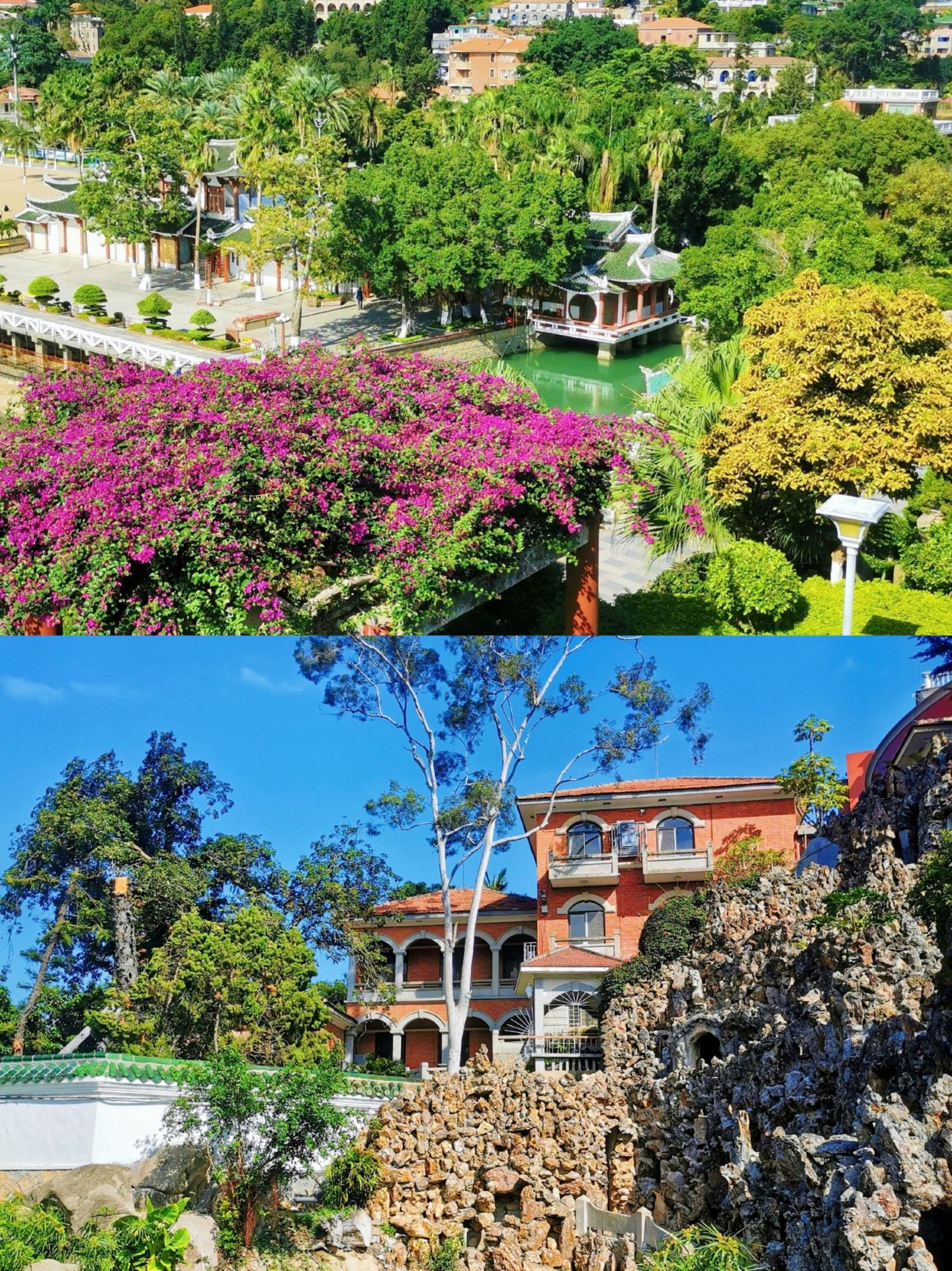 📍Route
Zhongshan Road/Bashi - Huangcuo Beach🏖 - Wanyue Slope - Xitouxia - Music Square - Pearl Bay - Shanhai Trail Pan Gui Tower section for sunset viewing

🍲Food
If you come to Xiamen for travel, I highly recommend having a good meal at Bashi-Zhongshan Road! This area gathers very authentic Xiamen specialties. We had Yuehua Shacha noodles, Zhuji shredded chicken, Haoxiang pork tenderloin, and Huiyuan fried bread here😍
🧋Also bought local Xiamen milk tea on Zhongshan Road - Happy Sweet Potato extra-large cup lemon water, only 6.9 RMB for a huge cup. The cup thoughtfully features a detailed map of Xiamen, which we used as a reference for this trip’s route.
💁‍♂️For those traveling to Xiamen, I really suggest everyone get a cup. You can scan a QR code to get Xiamen travel tips, and the included stickers are fun to use for check-ins! This is definitely the most worthwhile souvenir to take from Xiamen!
[EuropeAfrica]Activities
🏝Huangcuo Beach
[Sun]If you’re an early riser and catch good weather, I suggest coming early to shoot the sunrise, which is between 5:00-6:00 AM. Start here, enjoy the seaside trees, the bus coffee shop, and sit to gaze at the sea. You can also store your luggage here.
⬆️Wanyue Slope
A lonely tree, seaside bookstore, seaside bus—every snapshot feels like a scene from a Studio Ghibli film.
🎵Music Square
Pebble beach, seaside benches, and two arching trees are here. If you have time, check out the nearby spot where the meteor shower was filmed.
🏔Shanhai Trail
You can see stunning sea views and the most beautiful sunset between 16:45-17:20. Unfortunately, we missed it.

[Electrocar]You can rent an electric scooter or bicycle to circle the island, but be careful not to ride electric scooters into other intersections or places.