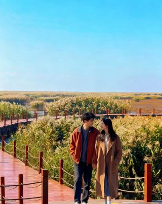 หาดทรายสีแดงแสนโรแมนติกของปานจินยังคงเบ่งบานสวยงามในเดือนตุลาคมนี้ และนาข้าวก็เป็นสีทองอร่าม! คู่มือฉบับสมบูรณ์อยู่ที่นี่แล้ว!