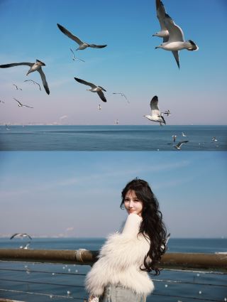 Northeast Twin Cities Story｜Shenyang × Dalian Winter Trip Is So Fun to Explore