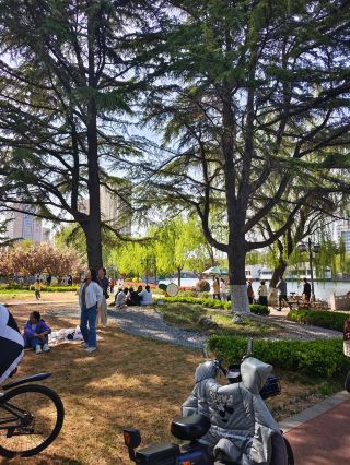 Hidden Healing Sanctuary in Pingdu! A Spring Date at the Botanical Garden to See All the Beauty of the World