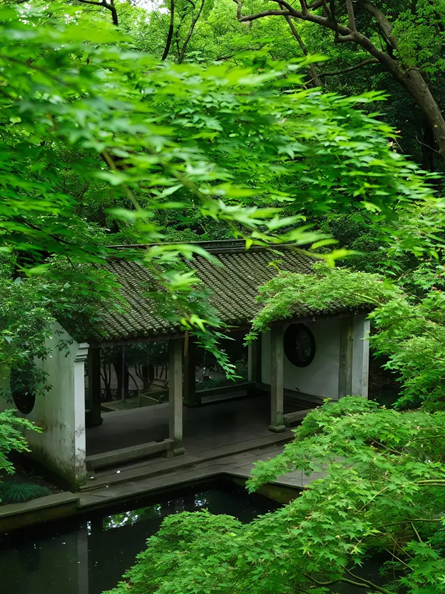 Hangzhou West Lake Cycling｜For those low on energy, come ride this Green Fairyland route