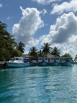 A Perfect Week in Paradise