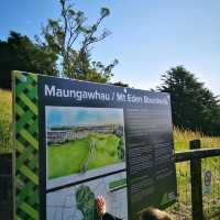 Auckland - Mount Eden magnificent view