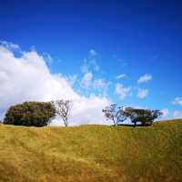 Auckland - Mount Eden magnificent view