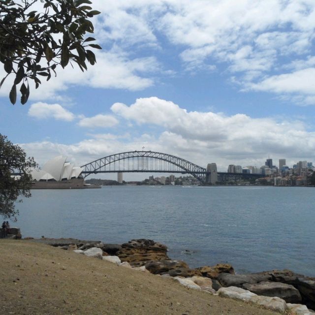 🇦🇺우리나라 겨울에 가면 더 좋은 시드니 로열 보타닉 가든스