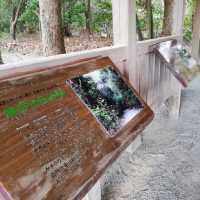 【福岡】世界遺産✨「宗像大社」⛩️